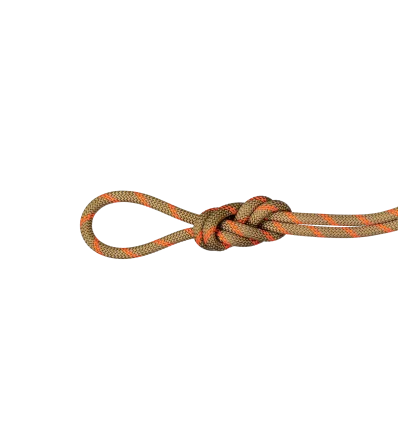 Mammut 8.0 Alpine Dry Rope Dry Standart 30M Winter 2025