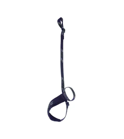 Black Diamond Lockdown Leash